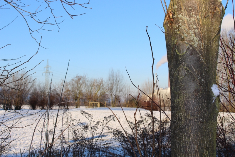 # Fotowettbewerb 01/2016 - Winterliches Weserbergland